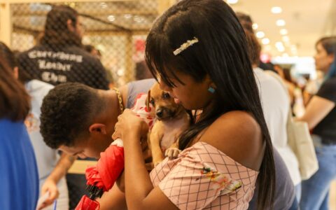 Imagem do post Campanha de adoção de animais une protetores e futuros tutores em Feira de Santana 