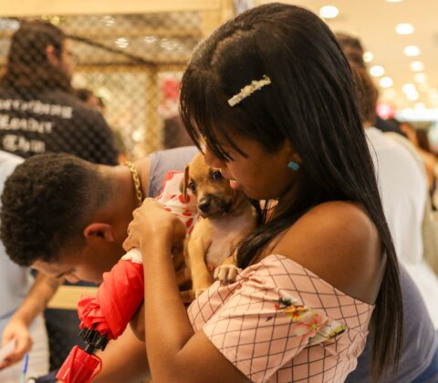 Imagem do post Campanha de adoção de animais une protetores e futuros tutores em Feira de Santana 