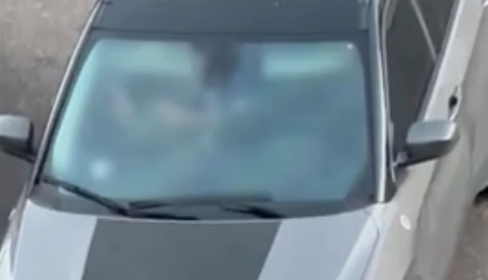 Casal é flagrado fazendo sexo no estacionamento da Câmara