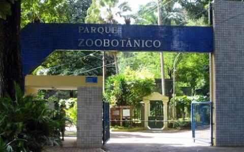 Imagem do post Zoológico de Salvador será reaberto após três meses em reforma