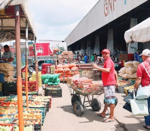 Imagem do post Ceasa do Ogunjá é interditada por riscos estruturais