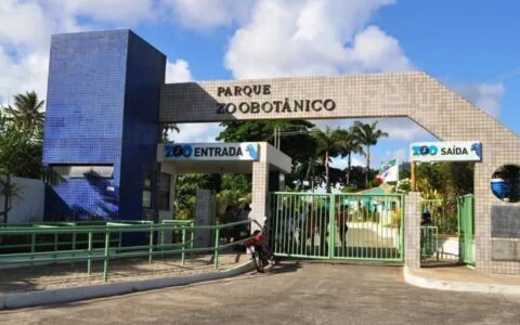 Imagem do post Zoológico de Salvador é reinaugurado com novas atrações e restauração de espaços icônicos