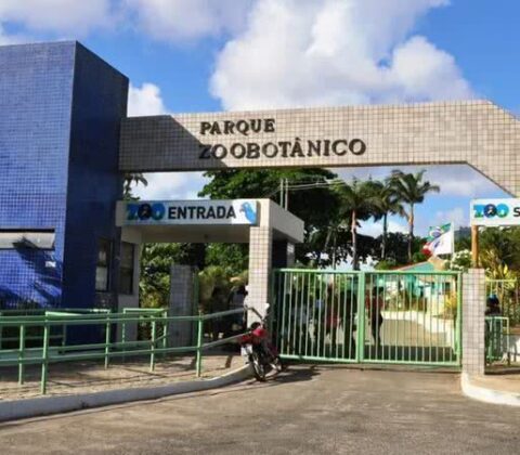 Imagem do post Zoológico de Salvador é reinaugurado com novas atrações e restauração de espaços icônicos