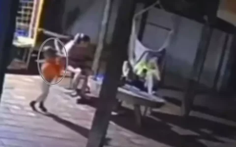 Imagem do post Criança de 2 anos mata a própria mãe com arma do pai