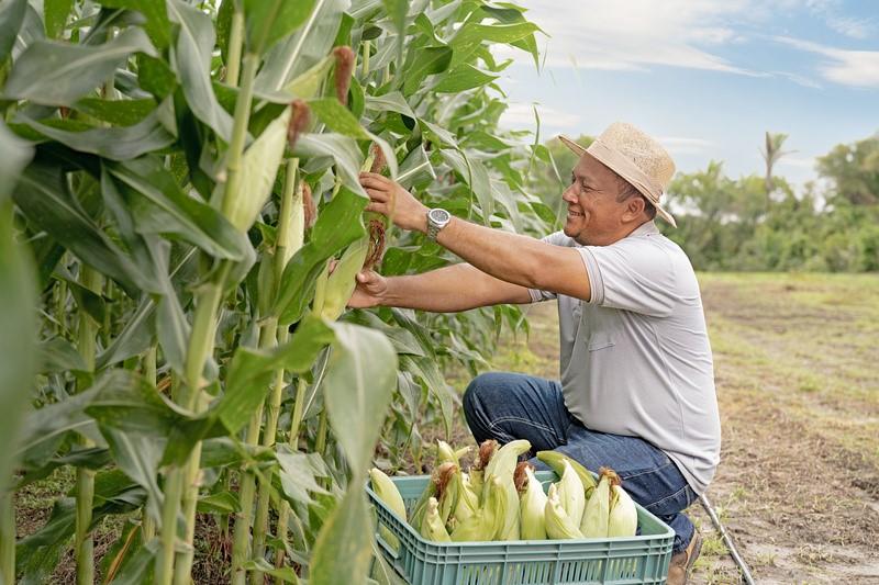 Ações do Governo Federal impulsionam crescimento do Nordeste