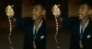 Homem brinca com cobra-coral e morre após ser picado