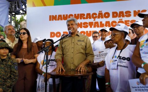 Imagem do post Parque Zoobotânico da Bahia reabre após reforma com réplica gigante de Tiranossauro Rex