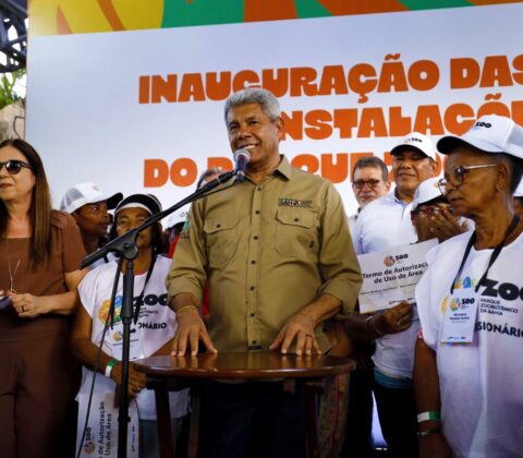 Imagem do post Parque Zoobotânico da Bahia reabre após reforma com réplica gigante de Tiranossauro Rex