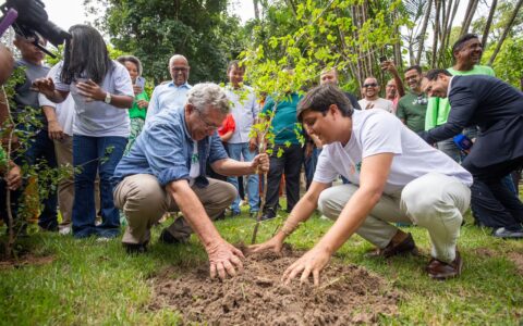 Imagem do post EcoJunho 2025: Camaçari inicia Semana do Meio Ambiente com plantio de mudas no Horto Florestal