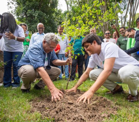 Imagem do post EcoJunho 2025: Camaçari inicia Semana do Meio Ambiente com plantio de mudas no Horto Florestal