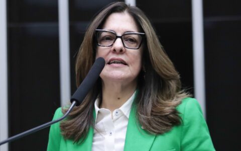 Imagem do post Deputada cobra ação urgente contra professor preso com 700 registros de abuso infantil