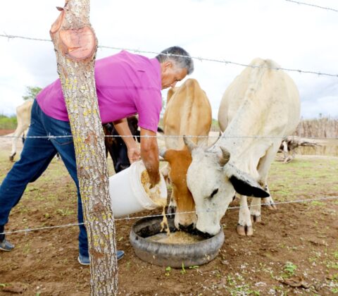 Imagem do post Governo entrega milho e água para agricultores baianos enfrentarem seca histórica