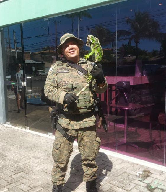 Iguana é resgatada pela Polícia em Stella Maris