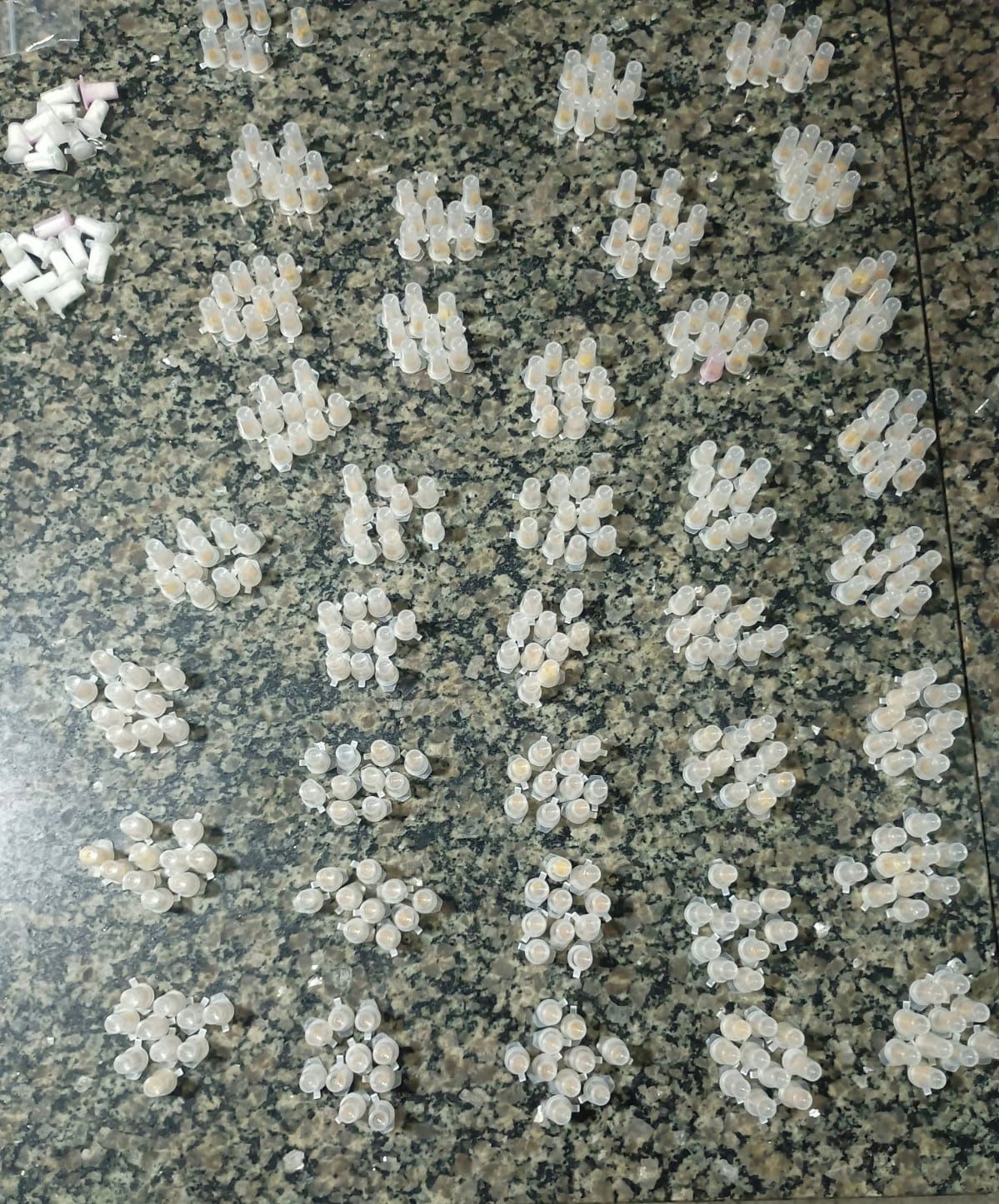 Mais de 1.800 porções de drogas são apreendidas pela PM em Cajazeiras