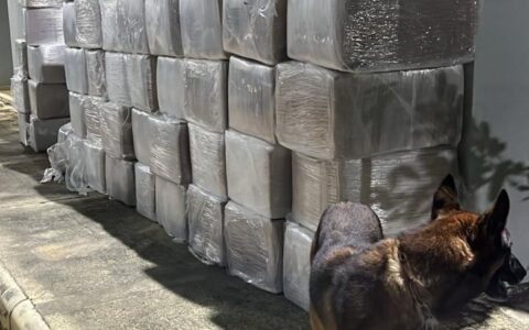 Imagem do post Polícias apreendem 6 toneladas de maconha escondidas em caminhão no interior da Bahia