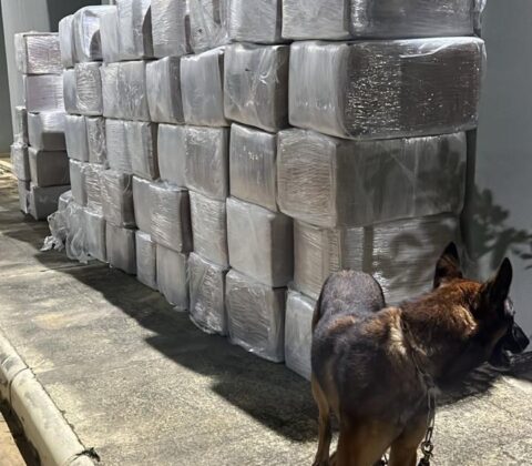 Imagem do post Polícias apreendem 6 toneladas de maconha escondidas em caminhão no interior da Bahia