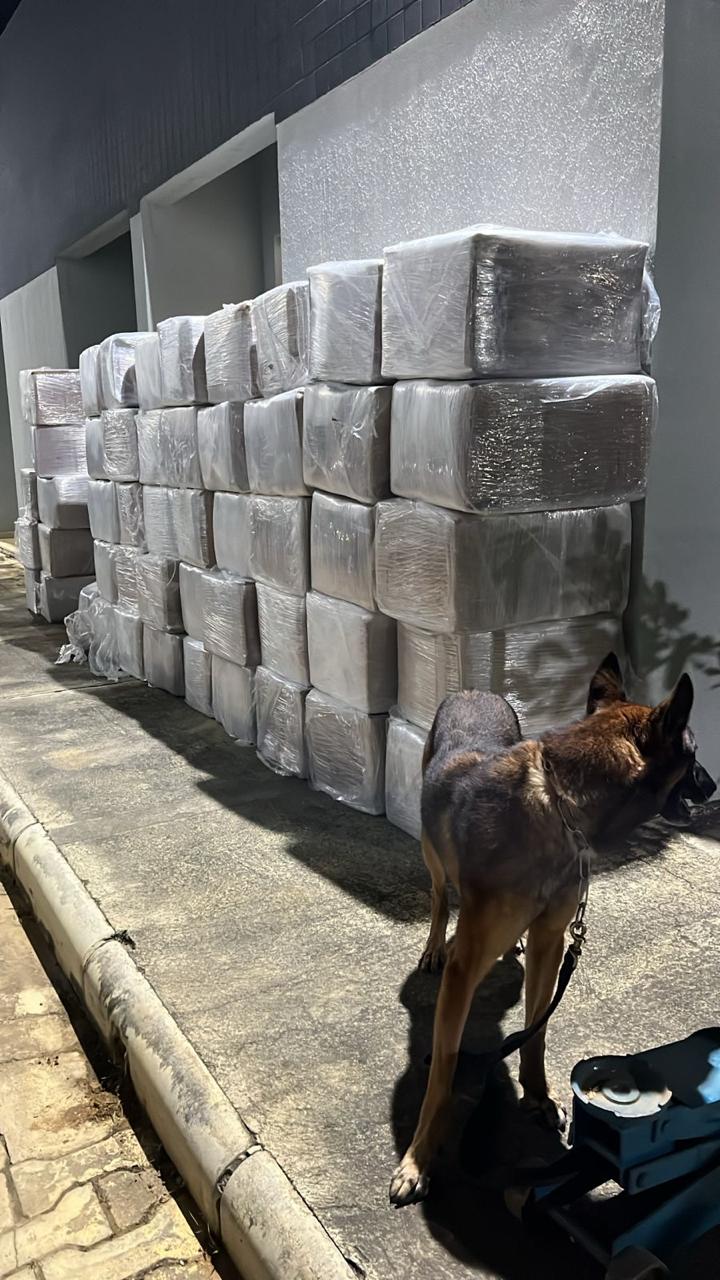 Polícias apreendem 6 toneladas de maconha escondidas em caminhão no interior da Bahia