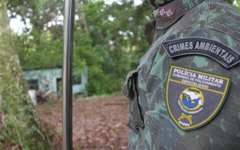 Imagem do post Coppa tem cronograma atividades voltado à Semana do Meio Ambiente