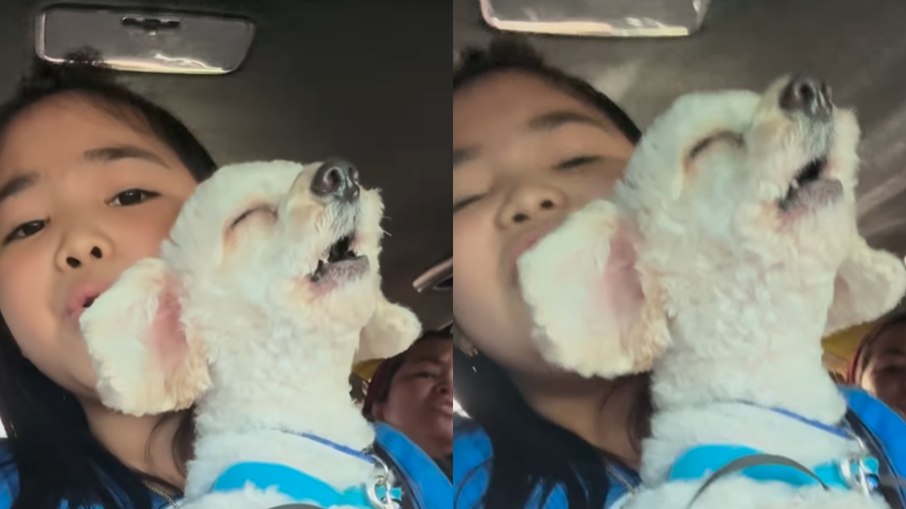 Dueto irresistível: criança e cachorro viralizam ao “cantar” hit de Bruno Mars juntos