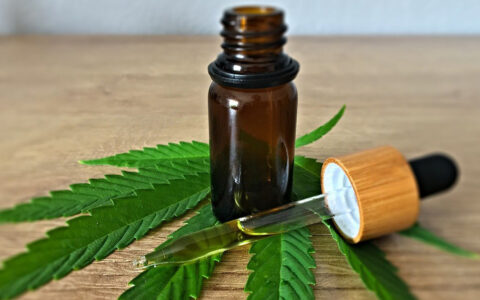 Imagem do post Cânhamo medicinal pode ser liberado nesta terça no Brasil