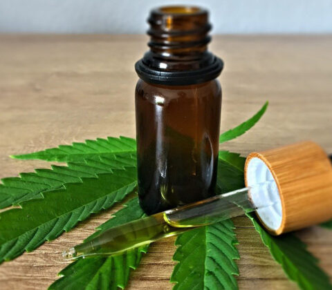 Imagem do post SUS vai fornecer canabidiol na Bahia: Descubra os requisitos