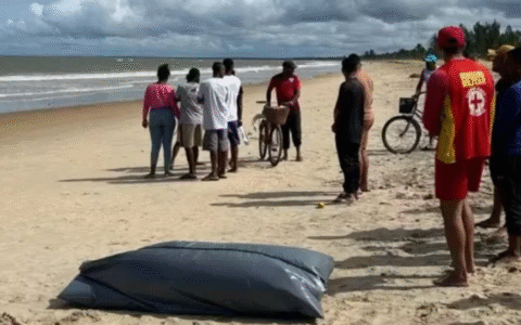 Imagem do post Turistas morrem afogados em famosa praia da Bahia