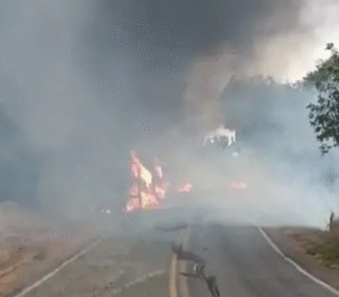 Imagem do post Incêndio destrói carreta e paralisa trânsito na BR-030 em Caetité
