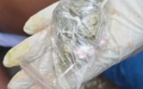 Imagem do post Homem é executado a tiros em frente a supermercado movimentado em Feira de Santana