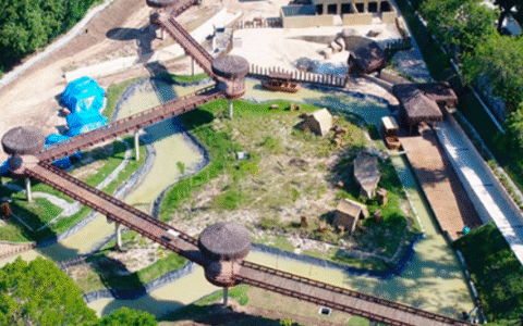 Imagem do post Gripe aviária provoca surto em zoológico do RJ e alerta autoridades