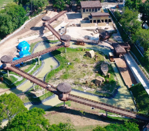 Imagem do post Gripe aviária provoca surto em zoológico do RJ e alerta autoridades