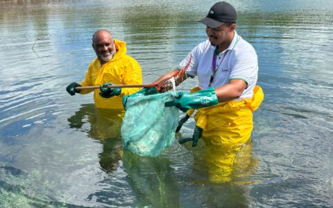 Imagem do post Mutirão resgata nascente com limpeza e plantio em Camaçari