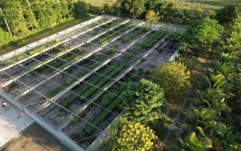 Imagem do post Carbon2Nature Brasil anuncia parceria inédita com Biomas em projeto de restauração de floresta nativa no sul da Bahia