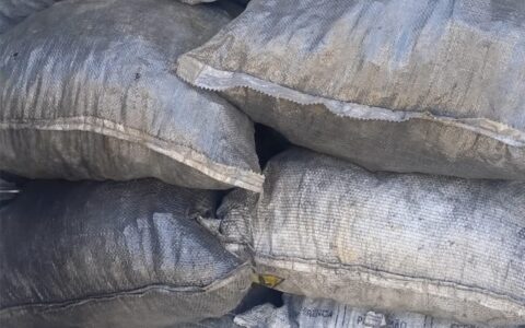 Imagem do post PM apreende carga ilegal de carvão vegetal em Dias d’Ávila