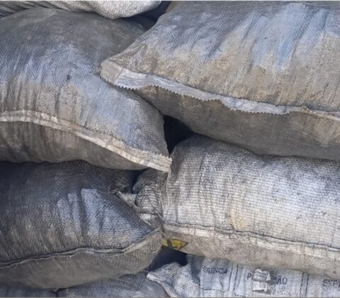 Imagem do post PM apreende carga ilegal de carvão vegetal em Dias d’Ávila