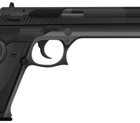 Imagem do post Chefe do BDM em Mata de São João é preso com armas e drogas