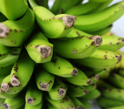 Imagem do post Confiança do empresariado baiano segue negativa, mas melhora em julho