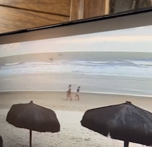 Imagem do post Três mulheres são brutalmente assassinadas em Ilhéus