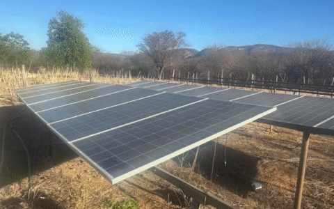 Imagem do post PF desmonta plantação high-tech na Bahia