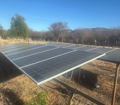 Imagem do post PF desmonta plantação high-tech na Bahia