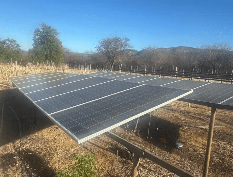PF desmonta plantação high-tech na Bahia