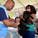 Vacinação antirrábica para cães e gatos começa na Bahia; veja quem deve imunizar
