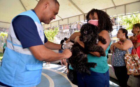 Imagem do post Vacinação gratuita contra raiva começa em Salvador com mais de 90 pontos