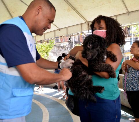 Imagem do post Vacinação gratuita contra raiva começa em Salvador com mais de 90 pontos