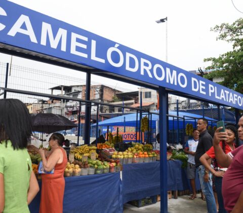Imagem do post Novo camelódromo em Plataforma transforma o Largo do Luso