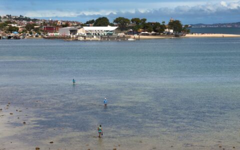 Imagem do post VLT de Salvador transforma a vida de pescadoras com cursos e vendas para hotéis