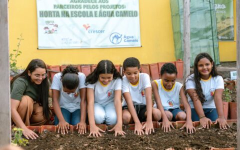 Imagem do post Fundação Nestlé leva hortas e água tratada a 16 escolas e amplia legado em comunidades produtoras de cacau na Bahia