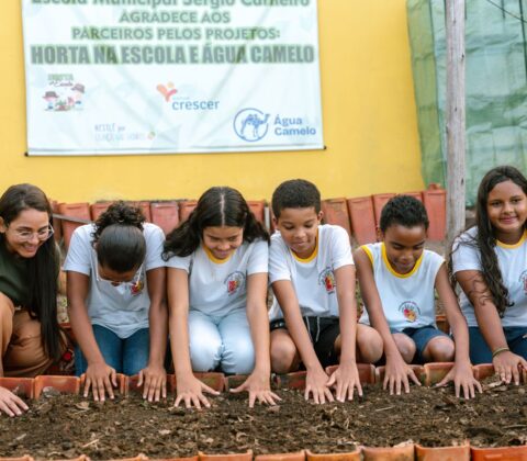 Imagem do post Fundação Nestlé leva hortas e água tratada a 16 escolas e amplia legado em comunidades produtoras de cacau na Bahia