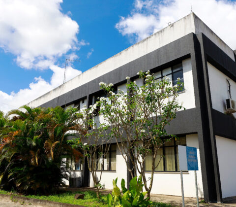 Imagem do post DEAM Periperi promove ações de conscientização e cidadania