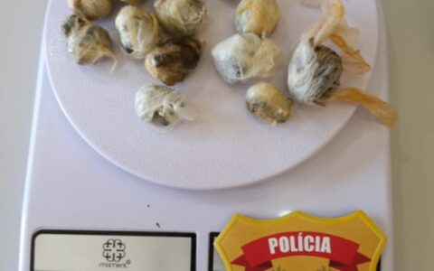 Imagem do post BodyScan flagra homem com 18 porções de maconha no Conjunto Penal