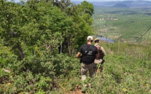 Imagem do post Eunápolis: trabalhador é morto após discussão e homem é preso em flagrante